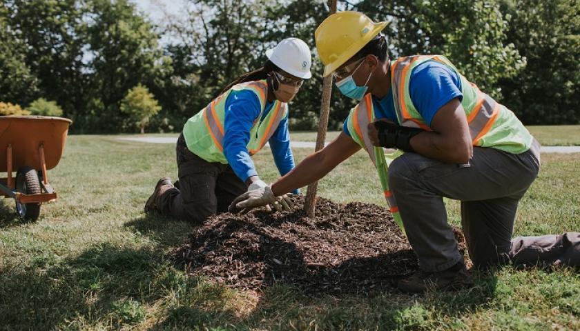 Climate Justice with Chicago’s Calumet Tree Conservation Corps